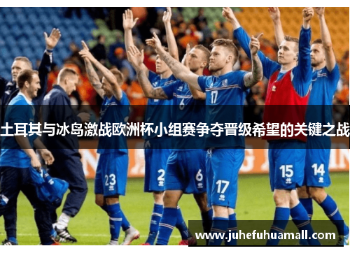 土耳其与冰岛激战欧洲杯小组赛争夺晋级希望的关键之战