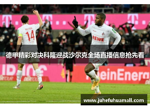 德甲精彩对决科隆迎战沙尔克全场直播信息抢先看